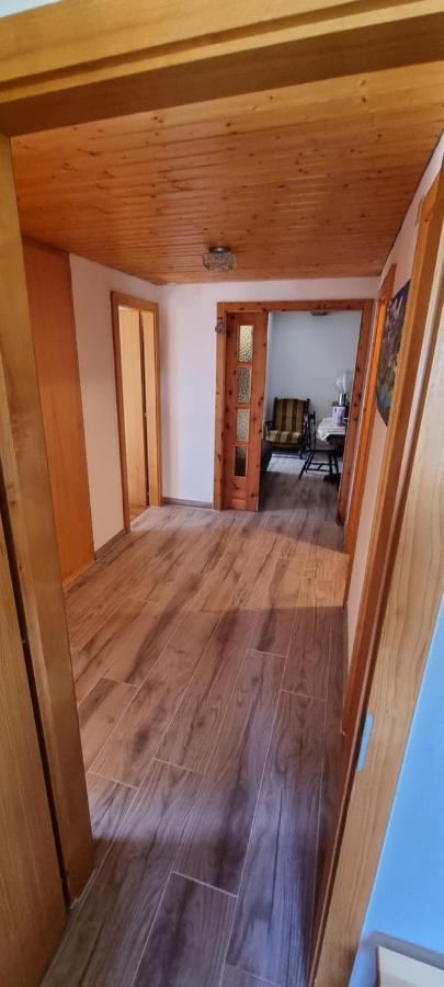 Le Panorama - Appartement 54 A Arolla Face Aux Montagnes A 150M Des Pistes Evolene Exterior photo