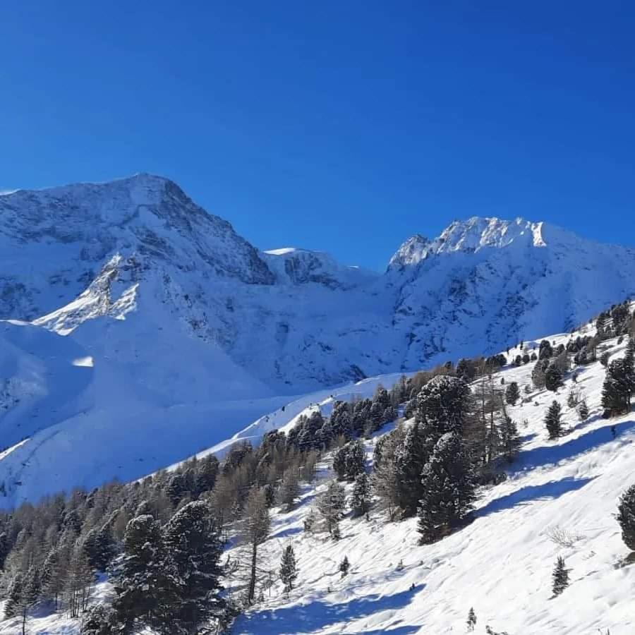 Le Panorama - Appartement 54 A Arolla Face Aux Montagnes A 150M Des Pistes Evolene Exterior photo